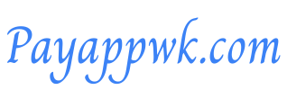 Payappwk.com